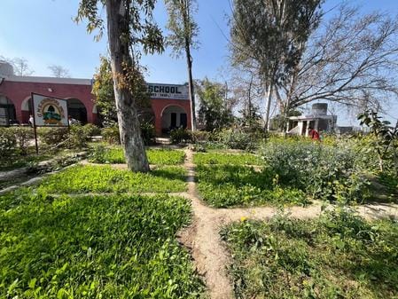 30जेएनडी11-राजकीय मिडिल स्कूल गोविंदपुरा में बनाया गया किचन गार्डन का फोटो। स्रोत शिक्षक