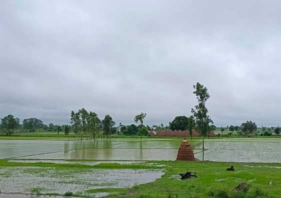 बारिश में बदहाल हुई सिक्किम में बलिदान हुए हवलदार लखविंदर सिंह के घर की सड़क स्रोत : ग्रामीण बारिश में बदहाल हुई सिक्किम में बलिदान हुए हवलदार लखविंदर सिंह के घर की सड़क स्रोत : ग्रामीण