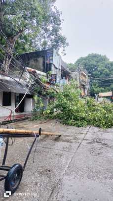घुंघचाई क्षेत्र में बिजली लाइन की खराबी सही करते कर्मचारी स्रोत : कर्मी घुंघचाई क्षेत्र में बिजली लाइन की खराबी सही करते कर्मचारी स्रोत : कर्मी