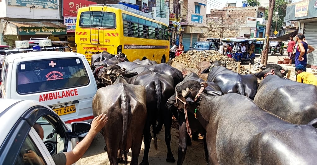 मंगलवार दोपहर केरूगंज तिराहा पर धंसी सड़क। संवाद