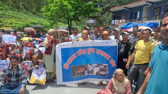 दुग्ध उत्पादकों की समस्याओं और मांगों  के लेकर दतनगर मिल्क प्लॉट के बाहर धरना प्रदर्शन करते दुग