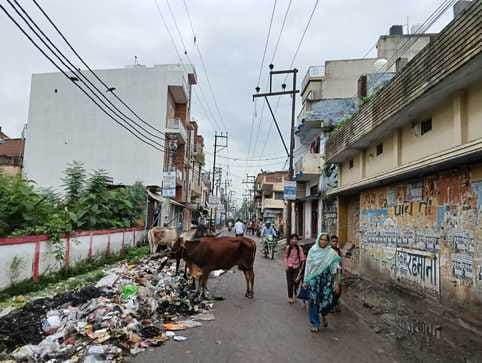 शहर के अर्धनारीश्वर मंदिर के पास बिना पालीथिन लगा जर्जर खंभा संवाद शहर के अर्धनारीश्वर मंदिर के पास बिना पालीथिन लगा जर्जर खंभा संवाद