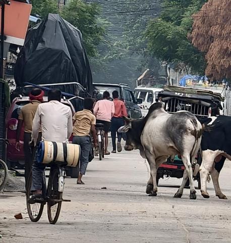 -फोटो 61 : प्रेम राठी