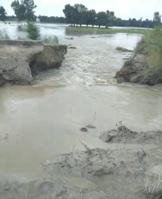 महरीपुर पंप नहर कटने के बाद बहता पानी।