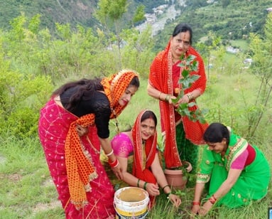 भीमताल विकास भवन में पौधरोपण करते अधिकारी। संवाद