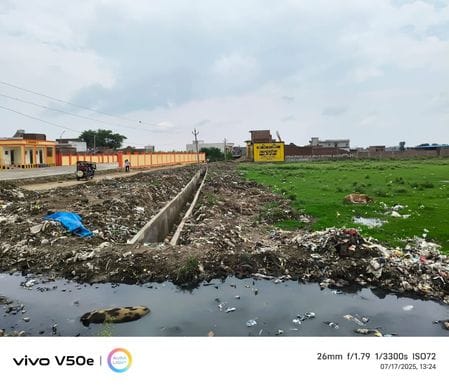 दबतोरी क्षेत्र में अरिल नदी के नीचे उगी घास।संवाद दबतोरी क्षेत्र में अरिल नदी के नीचे उगी घास।संवाद