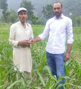 सदर पंचायत के गांव सेरी में किसानों को मक्की की फसल पर फॉल आर्मी वर्म को नष्ट करने बारे जानकारी सदर पंचायत के गांव सेरी में किसानों को मक्की की फसल पर फॉल आर्मी वर्म को नष्ट करने बारे जानकारी