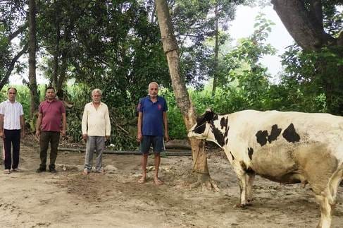 दीवार पर पोस्टर चस्पा करते वनकर्मी। संवाद दीवार पर पोस्टर चस्पा करते वनकर्मी। संवाद