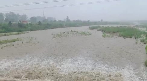 ऊना के डीसी कॉलौनी में सड़क में गिरा बड़ा पेड़ सड़क हुई बंद।संवाद