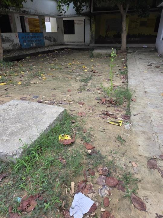 पौधरोपण। पौधरोपण।