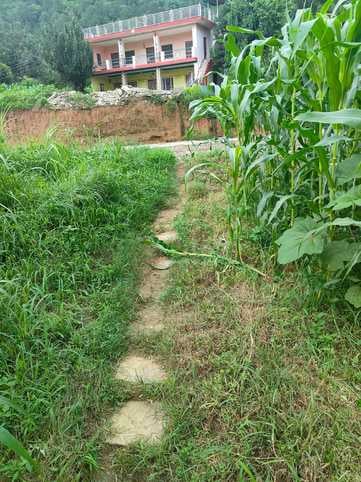 संपर्क रास्ते के आगे सड़क लगाया गया डंगा। जागरूक पाठक। संपर्क रास्ते के आगे सड़क लगाया गया डंगा। जागरूक पाठक।