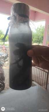 स्कूल में निकल रहे सांप