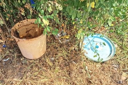 रोहतक में महिला के कटे अंगों को तलाशने के लिए चलाए गए अभियान के दौरान जांच करती पुलिस की टीम। 