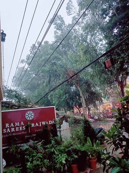 तारों पर गिरे पेड़। तारों पर गिरे पेड़।
