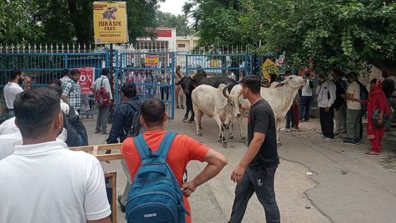 फोटो 26: सोनीपत बस अड्डे पर गुरुग्राम जाने वाली रोडवेज बस में बैठे सीईटी अभ्यथी। संवाद फोटो 26: सोनीपत बस अड्डे पर गुरुग्राम जाने वाली रोडवेज बस में बैठे सीईटी अभ्यथी। संवाद