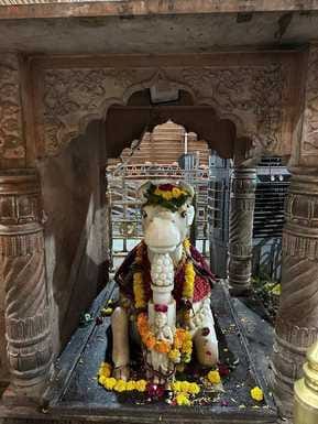 प्रातः आरती से ही ओंकारेश्वर में दिखा आस्था का सैलाब, प्रातः आरती से ही ओंकारेश्वर में दिखा आस्था का सैलाब,