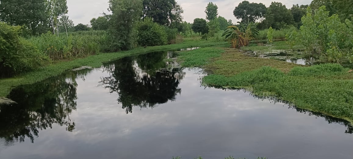 बूढ़ी गंगा में केमिकल का प्रवाह बंद होने से बदलने लगा पानी का रंग स्रोत संवाद