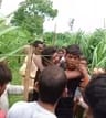 नूरपुर के गांव पुरैना में चोर बताकर दो भाईयों को पीटने की घटना के बाद जमा भीड़ और पुलिस। संवाद नूरपुर के गांव पुरैना में चोर बताकर दो भाईयों को पीटने की घटना के बाद जमा भीड़ और पुलिस। संवाद