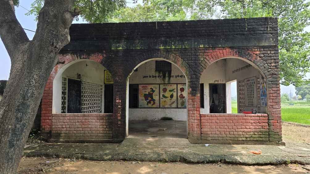 अंबाला। मिर्जापुर में स्कूल के मैदान में उगी घास। संवाद अंबाला। मिर्जापुर में स्कूल के मैदान में उगी घास। संवाद
