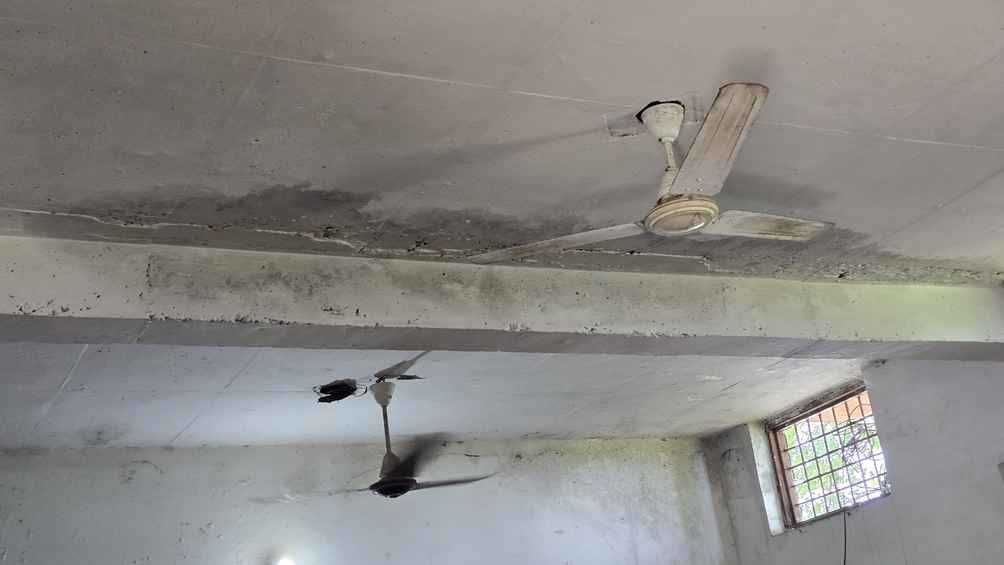 अंबाला। मिर्जापुर में स्कूल के मैदान में उगी घास। संवाद अंबाला। मिर्जापुर में स्कूल के मैदान में उगी घास। संवाद
