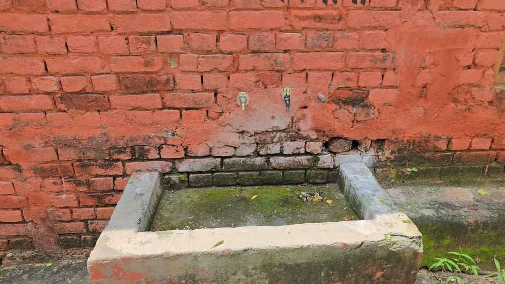 अंबाला। मिर्जापुर में स्कूल के मैदान में उगी घास। संवाद अंबाला। मिर्जापुर में स्कूल के मैदान में उगी घास। संवाद