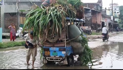 बारिश के कारण महमूदनगर सरवट क्षेत्र में हुआ जल भराव। वीडियो ग्रैब।