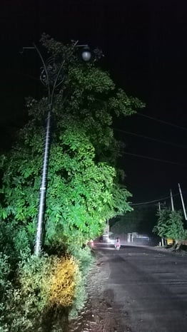 जगाधरी रोड पर लगाई गई फैंसी लाइटें। संवाद जगाधरी रोड पर लगाई गई फैंसी लाइटें। संवाद