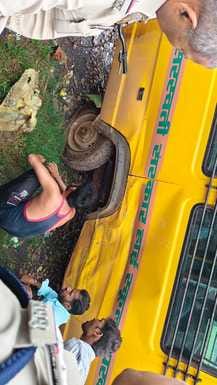 स्कूल बस के हादसे में हुए बच्चे घायल 