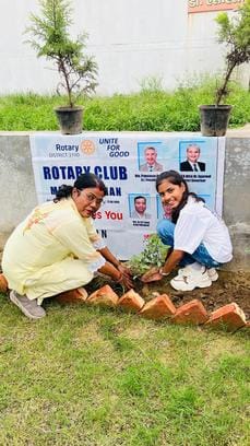 रोटरी क्लब मेरठ महान ने रविवार को वृक्षारोपण बागपत रोड पर आयोजित किया।