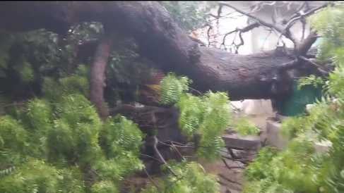 बाइपास के पास भरा बारिश का पानी। संवाद बाइपास के पास भरा बारिश का पानी। संवाद