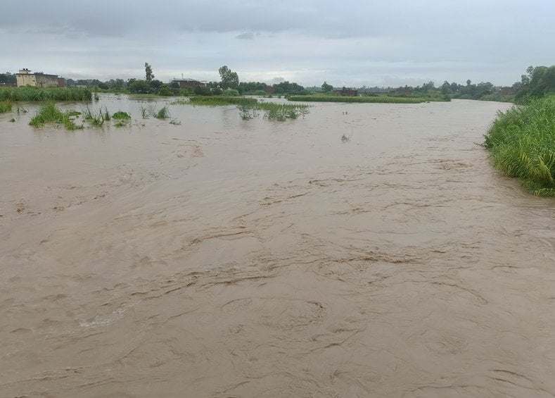जलालाबाद- हाईवे के जलभराव में जान जोखिम में डालकर तैरता बालक।संवाद जलालाबाद- हाईवे के जलभराव में जान जोखिम में डालकर तैरता बालक।संवाद