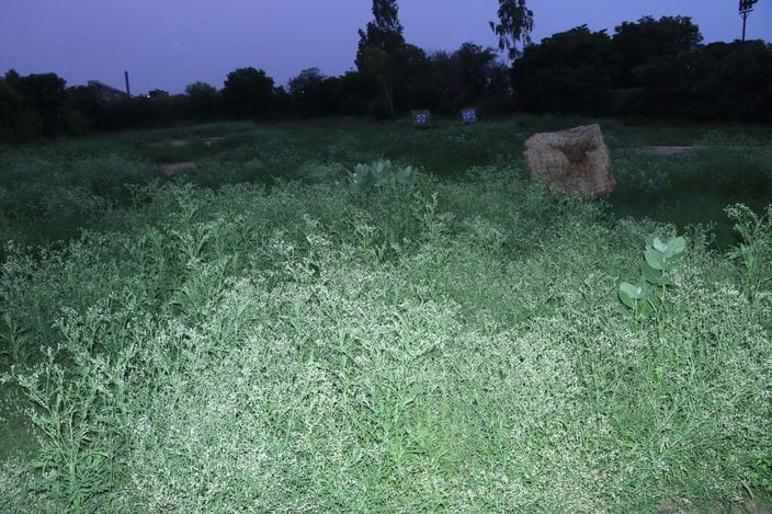राजीव गांधी स्टेडियम में उगी घास के बीच अभ्यास के दौरान निशाना लगाता तीरंदाज खिलाड़ी। संवाद राजीव गांधी स्टेडियम में उगी घास के बीच अभ्यास के दौरान निशाना लगाता तीरंदाज खिलाड़ी। संवाद