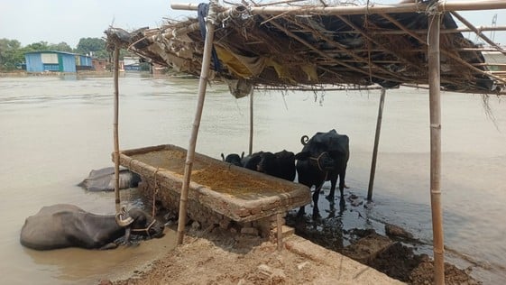 साबिरा, लोदीपुर। साबिरा, लोदीपुर।
