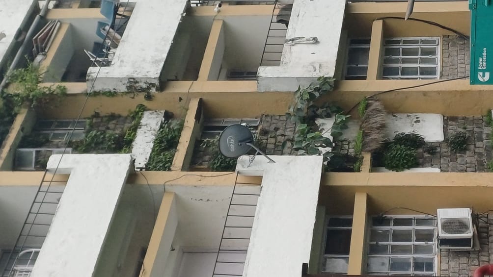 धर्मशाला अस्पताल की टीवारों पर उगे पेड़ और उखड़ी पपड़ी। संवाद