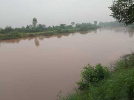 41 गुहला-चीका: गुहला चीका से गुजर रही घग्गर नदी का जलस्तर। 41 गुहला-चीका: गुहला चीका से गुजर रही घग्गर नदी का जलस्तर।