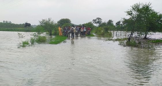 गांव वीरसहाय नगला में भरा पानी , जाते ग्रामीण। संवाद