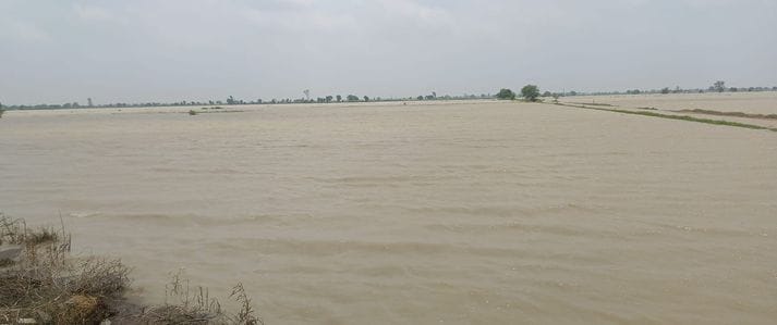 रोहतक के महम क्षेत्र के गांव भैणी सुरजन के खेतों में लगी मोटर माइनर में पानी डालते हुए। संवाद रोहतक के महम क्षेत्र के गांव भैणी सुरजन के खेतों में लगी मोटर माइनर में पानी डालते हुए। संवाद