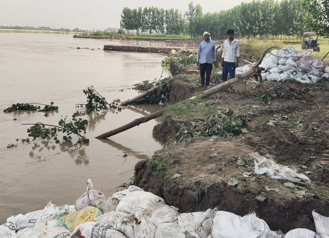 यमुना में तटबंध के लिए लगाए जा रहे मिट्टी के कट्टे। संवाद
