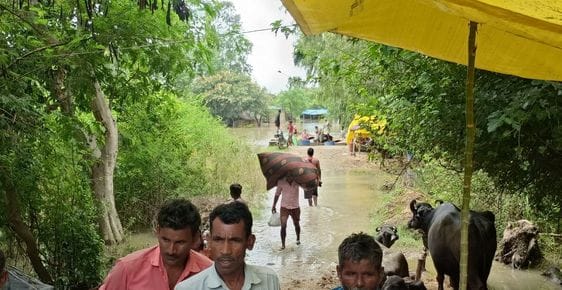 तटबंध पर बाढ़ पीड़ितों को ऐसे बनाए गए हैं आश्रय स्थल। संवाद