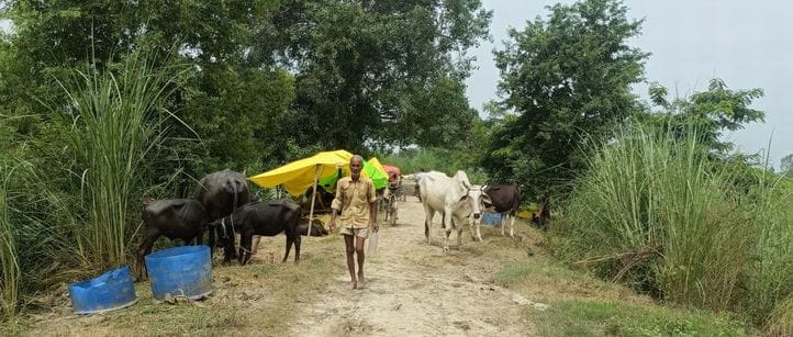 तटबंध पर बाढ़ पीड़ितों को ऐसे बनाए गए हैं आश्रय स्थल। संवाद
