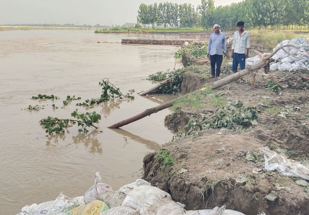 यमुना में तटबंध बंद करते कर्मचारी। संवाद