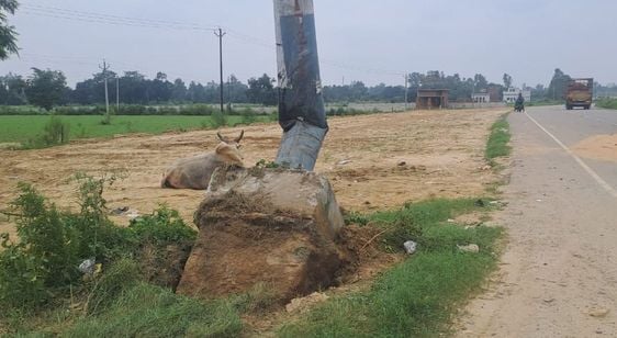 हादसास्थल पर क्षतिग्रस्त कार का निरीक्षण करते इंस्पेक्टर मनोज कुमार। संवाद हादसास्थल पर क्षतिग्रस्त कार का निरीक्षण करते इंस्पेक्टर मनोज कुमार। संवाद