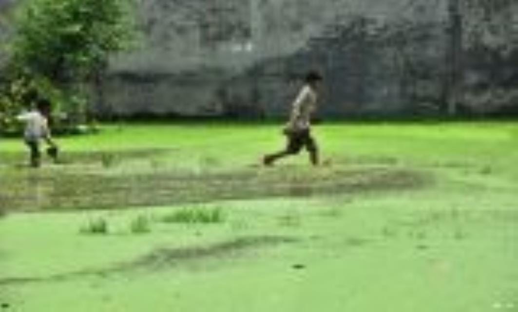 आवास विकास कॉलोनी के गेट के पास जमा बारिश का पानी।