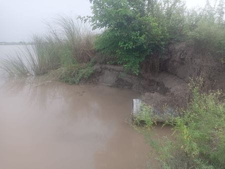 फोटो :11 : सोनीपत के गांव बख्तावर पुर के पास से बह रही यमुना। संवाद