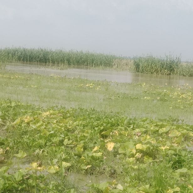 बैजनाथ। संवाद