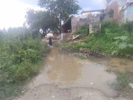 फोटो-28- बढ़े जलस्तर के बाद गृहस्थी का सामान व मवेशी को लेकर सुरक्षित स्थान को जाते ग्रामीण। स फोटो-28- बढ़े जलस्तर के बाद गृहस्थी का सामान व मवेशी को लेकर सुरक्षित स्थान को जाते ग्रामीण। स