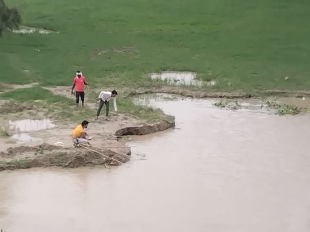 गांव तोफिया नगला में भरा बाढ़ का पानी । संवाद गांव तोफिया नगला में भरा बाढ़ का पानी । संवाद