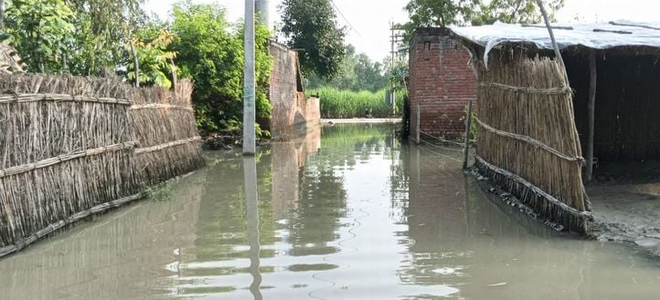 गांव तोफिया नगला में भरा बाढ़ का पानी । संवाद गांव तोफिया नगला में भरा बाढ़ का पानी । संवाद