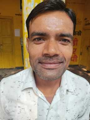 बारिश न होने से मुरझा रही मिर्च की फसल। संवाद बारिश न होने से मुरझा रही मिर्च की फसल। संवाद