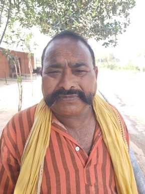 बारिश न होने से मुरझा रही मिर्च की फसल। संवाद बारिश न होने से मुरझा रही मिर्च की फसल। संवाद